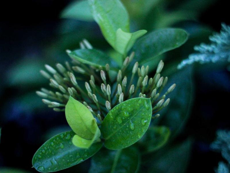 雪国列车<br>gitbuvf.cn 永恒轮回之旅